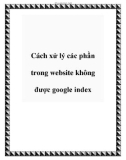 Cách xử lý các phần trong website không được google index