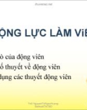 Động lực làm việc