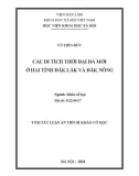 Tóm tắt luận án Tiến sĩ Khảo cổ học: Các di tích thời đại đá mới ở hai tỉnh Đắk Lắk và Đắk Nông