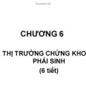 Bài giảng Thị trường tài chính và các định chế tài chính: Chương 6 - GV. Nguyễn Thu Hà