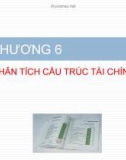 Bài giảng Báo cáo tài chính - Chương 6 Phân tích cấu trúc tài chính