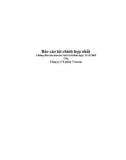 BÁO CÁO Báo cáo tài chính hợp nhất- CÔNG TY CỔ PHẦN VINCOM QUÝ 1/ 2009