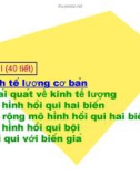 Kinh tế lượng cơ bản