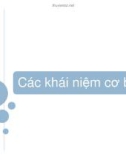 Các khái niệm cơ bản.