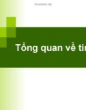 Tin học đại cương: Tổng quan về tin học