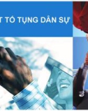 Bài giảng Luật Tố tụng dân sự - Chương 1: Khái quát về luật tố tụng dân sự Việt Nam