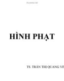 Bài giảng Hình phạt - TS. Trần Thị Quang Vinh