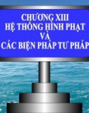 Bài giảng Luật Hình sự Việt Nam: Chương 13 - ThS. Trần Đức Thìn