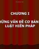 Luật hiến pháp