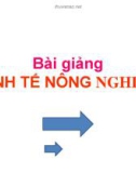 Bài giảng KINH TẾ NÔNG NGHIỆP - Chương 1