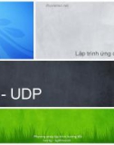 TCP - UDP