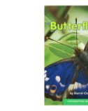 Butterflies - Darrle Claxton