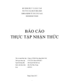 Báo cáo thực tập nhận thức: Công ty TNHH Xây dựng Bách Việt