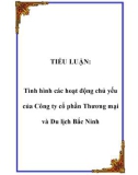 TIỂU LUẬN: Tình hình các hoạt động chủ yếu của Công ty cổ phần Thương mại và Du lịch Bắc Ninh