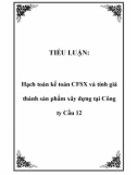 TIỂU LUẬN: Hạch toán kế toán CFSX và tính giá thành sản phẩm xây dựng tại Công ty Cầu 12