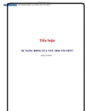 Tiểu luận: Sự năng động của văn hóa tổ chức