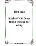 Tiểu luận Kinh tế Việt Nam trong thời kì hội nhập