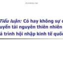 Tiểu luận: Có hay không sự dịch chuyển tài nguyên thiên nhiên trong quá trình hội nhập kinh tế quốc tế?