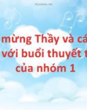 Bài tiểu luận: Hấp thụ khí SO3 bằng H2SO4