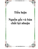 Tiểu luận Nguồn gốc và bản chất lợi nhuận.Lời nói đầuNăm 1986,Việt Nam