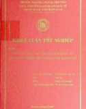 Khóa luận tốt nghiệp: Giải pháp nâng cao năng lực xuất khẩu của các doanh nghiệp Việt Nam sang thị trường Mỹ
