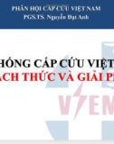 Báo cáo Hệ thống cấp cứu Việt Nam thách thức và giải pháp - PGS.TS. Nguyễn Đạt Anh