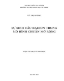 Luận văn Thạc sĩ Khoa học: Sự sinh các radion trong mô hình chuẩn mở rộng