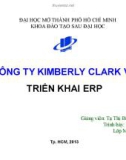 Tiểu luận: Công ty KIMBERLY CLARK Việt Nam triển khai ERP