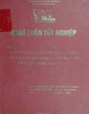 Khóa luận tốt nghiệp: Thị trường tài chính Việt Nam và những vấn đề đặt ra trong quá trình thực hiện Hiệp định Thương mại Việt - Mỹ