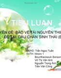 Tiểu luận Dấu chân sinh thái