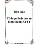 Tiểu luận Tính qui luật của sự hình thành KTTT