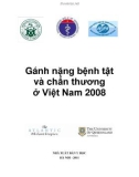 Báo cáo: Gánh nặng bệnh tật và chấn thương ở Việt Nam 2008