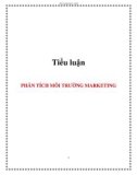 Tiểu luận: PHÂN TÍCH MÔI TRƯỜNG MARKETING