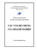 Tiểu luận: Các vấn đề chung của doanh nghiệp