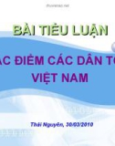 Tiểu luận: Đặc điểm các dân tộc Việt Nam