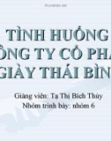 Thuyết trình: Tình huống công ty cổ phần giày Thái Bình