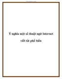 Tài liệu về Ý nghĩa một số thuật ngữ Internet viết tắt phổ biến