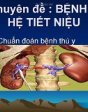 Chuyên đề: Bệnh ở hệ tiết niệu - Môn: Chẩn đoán bệnh thú y