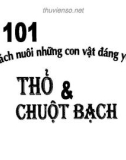 101 cách nuôi những con vật đáng yêu thỏ và chuột bạch