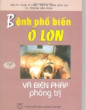 Bệnh phổ biến ở lợn và biện pháp phòng trị (NXB Nông nghiệp) - Tập 1