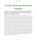 Cá rồng: Huyết Long (Scleropages Legendrei)