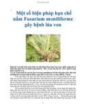 Một số biện pháp hạn chế nấm Fusarium moniliforme gây bệnh lúa von