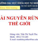 BÁO CÁO: TÀI NGUYÊN RỪNG THẾ GIỚI