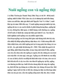 Nuôi ngỗng con và ngỗng thịt