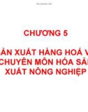 Bài giảng Kinh tế nông nghiệp: Chương 5 - ThS. Hoàng Mạnh Hùng