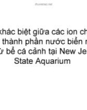 Sự khác biệt các thành phần ion trong bể nước nhân tạo