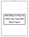 Nấm Đông Cô Giúp Cải Thiện Chức Năng Miễn Dịch Ở Người