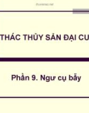 Bài giảng Khai thác thủy sản đại cương - Phần 9: Ngư cụ bẫy