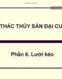 Bài giảng Khai thác thủy sản đại cương - Phần 6: Lưới kéo