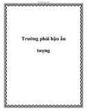 Trường phái hậu ấn tượng